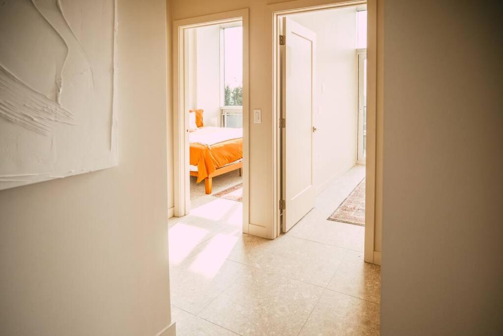 New Luxury 2Br Penthouse Apt In Central 哈利法克斯 外观 照片